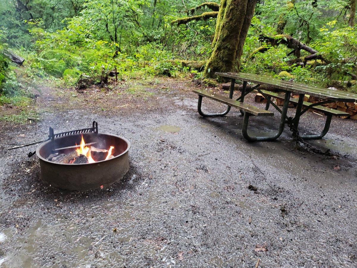 olympicforest's tweet photo. Love your public lands? Please don't leave trash for others to pack out. Leave your campground clean for others. Always put your campfires DEAD OUT, even in the rain. Fires can burn for a long time even in wet conditions! #OnlyYou #GiveAHoot https://t.co/qzzKPH3ThA
