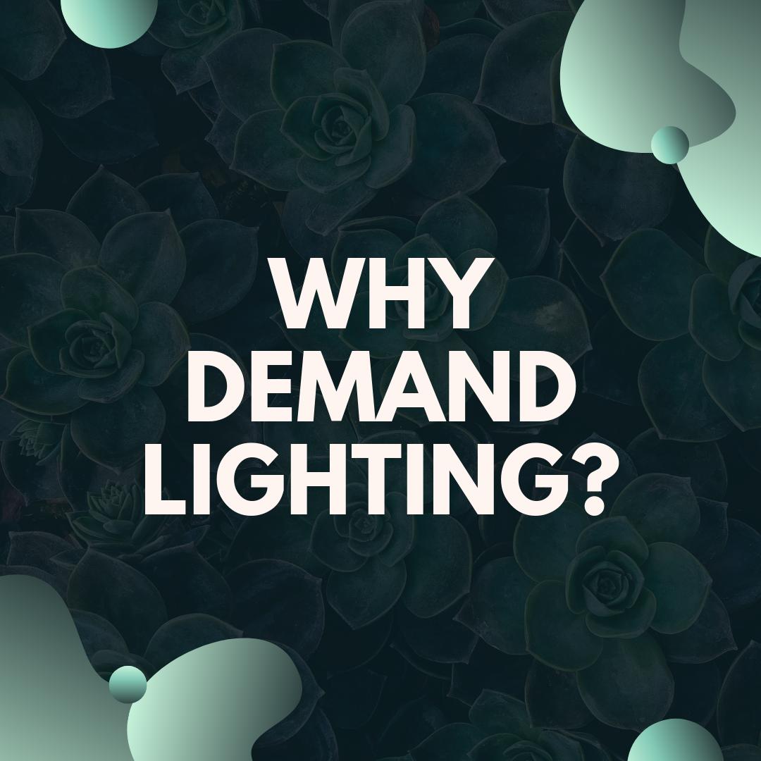 Demandlighting's tweet photo. Why Demand Lighting?

~ Delivery in 1 to 6 weeksWarranties 5 to 12 years 
~ Nationwide Coverage
~ Over 20,000 LED Lighting Products
~ Projects size from 1k sqft - 1M sqft 
~ Energy saving from 50% - 90%
~ You deal only with us!

https://t.co/NUmsesbojP

#demandlighting https://t.co/5AZkmdE0aD