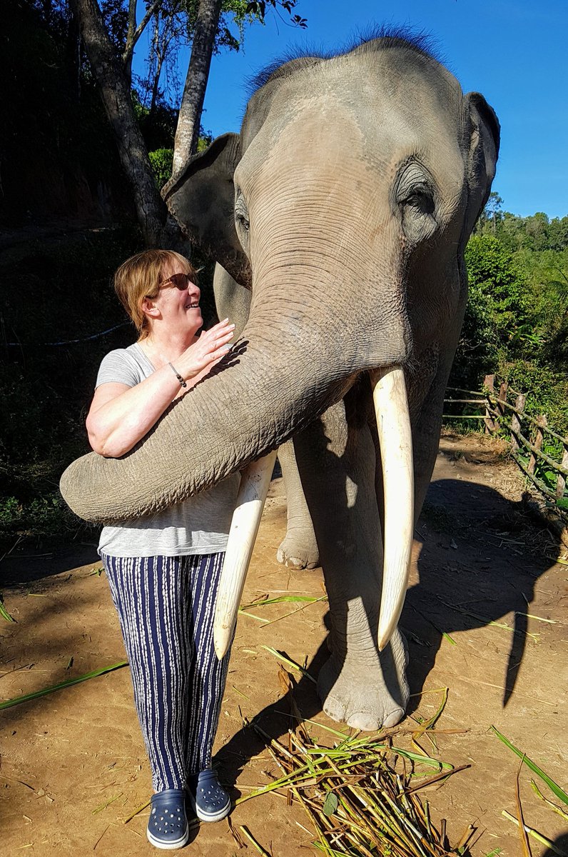 ThePastryFork's tweet photo. Today is #WorldElephantDay

This was my #ElephantDay in January..

#KarenTribe
#Thailand https://t.co/nOkJmePlV0