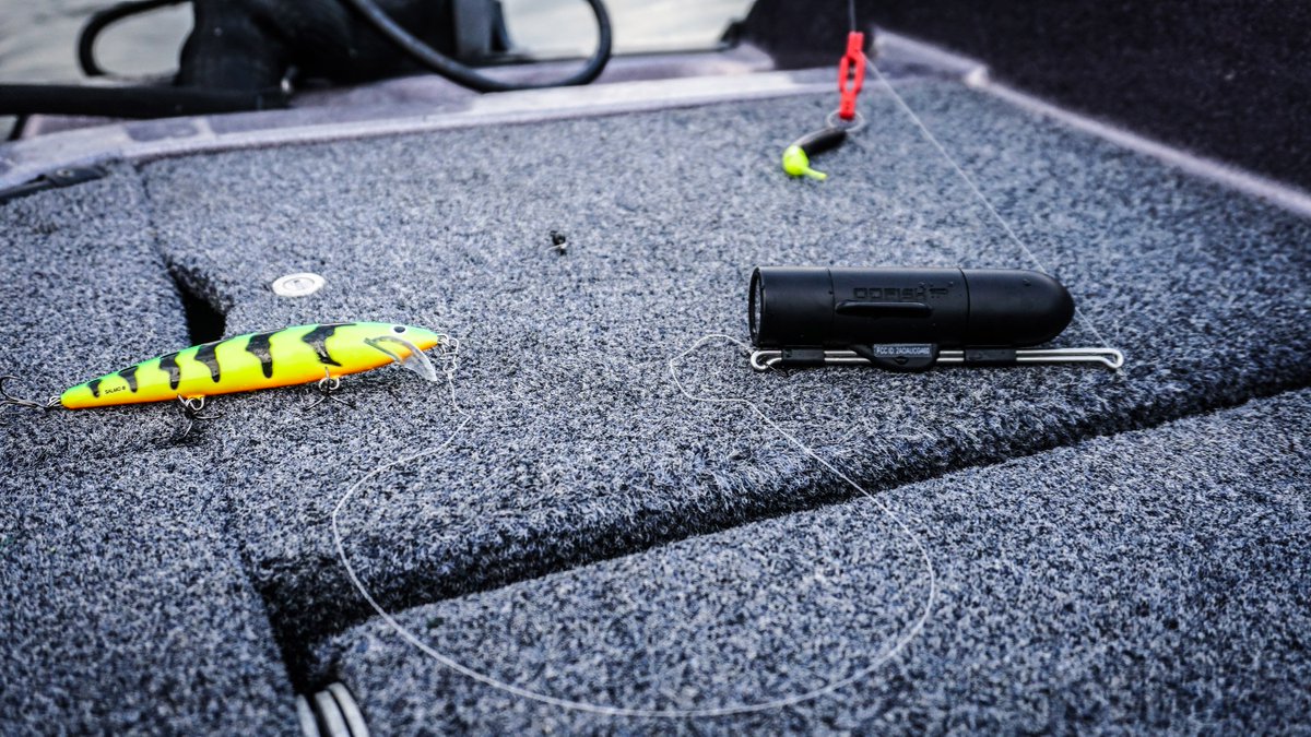 GoFishCam's tweet photo. Choosing the right lure isn't an exact science. What works one day may not work the next, but being able to see how fish are responding to a lure underwater is a huge advantage. Just pull your cam out of the water, check the footage and decide how to proceed.
#seemore #catchmore https://t.co/cCSt2wUvdC