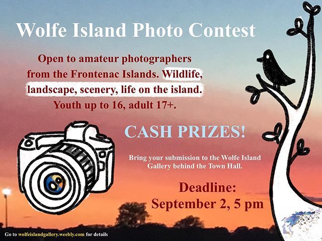 Reminder that you have until September 2nd to get your photos in for the Wolfe Island Photo Contest!! Visit our website for more information :)
-
-
-
-
-
#photography #photo #photocontest #wolfeisland #islandlife #canadianart #ygkevents #kingstonontario … ift.tt/2yTgOR0