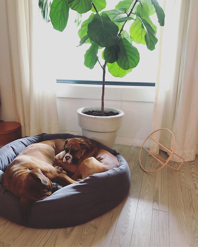 Salina Vanderhorn tweet media