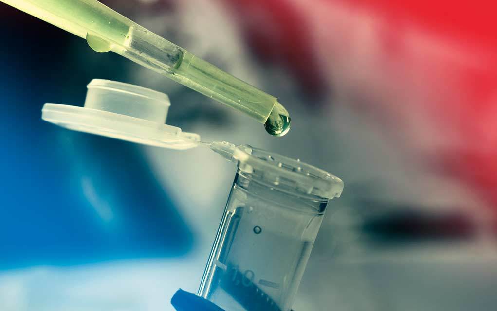 wellnessgroup's tweet image. Could Immunotherapy Cure Breast Cancer? wellness.com/blog/13295343/… on the #WellnessBlog