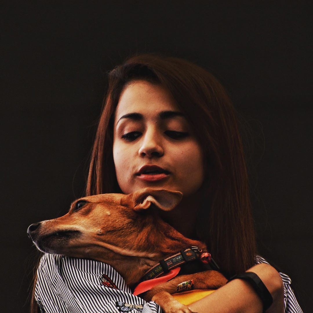 EByUP8uWsAA0iTG?format=jpg&name=medium