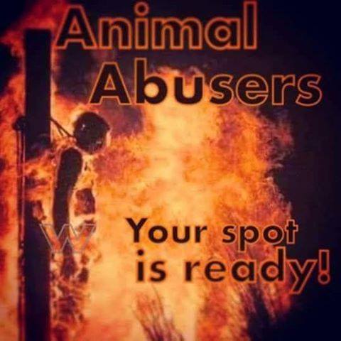 miroslav todorovic tweet media