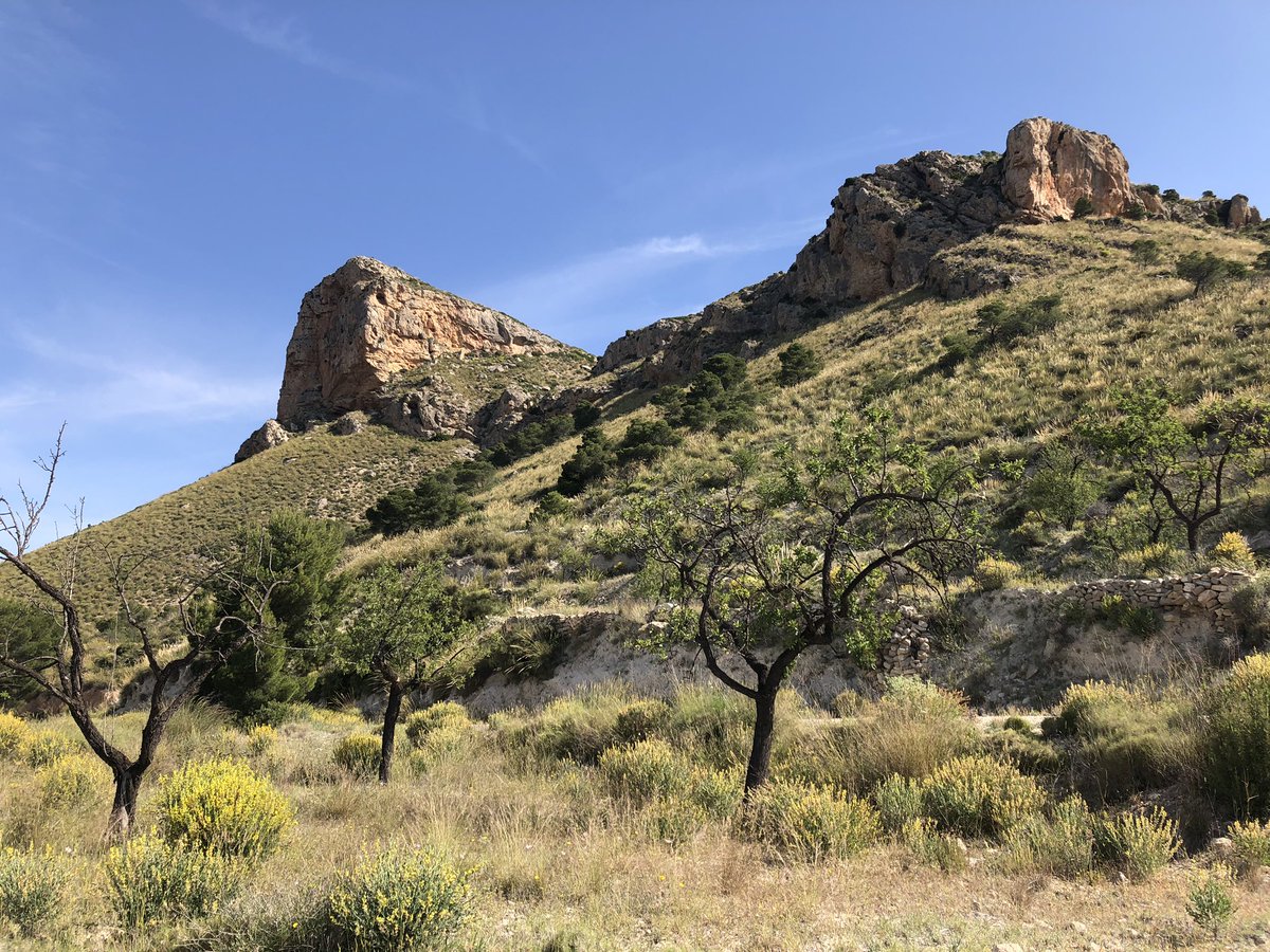 Sierra de la Pila Regional Park #sierradelapila #regionalpark #fortuna #Murcia #spain #Espana #walkingholiday #nature <a href="/visitspaintoday/">Visit Spain</a>