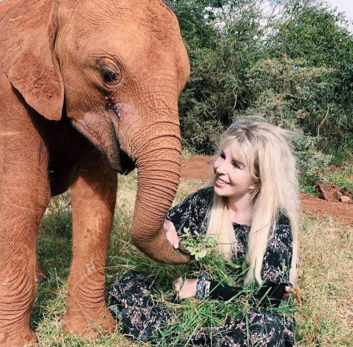 ASC Public Relations (@ascpr) on Twitter photo Today is World Elephant Day. As global citizens, many of us are not aware how riding elephants contributes to the threat of their extinction. Let’s protect these majestic wildlife creatures and remove this wish from our bucket lists.
#WorldElephantDay <a href="/TullyLuxTravel/">Tully Luxury Travel</a> Today is World Elephant Day. As global citizens, many of us are not aware how riding elephants contributes to the threat of their extinction. Let’s protect these majestic wildlife creatures and remove this wish from our bucket lists.
#WorldElephantDay <a href="/TullyLuxTravel/">Tully Luxury Travel</a>