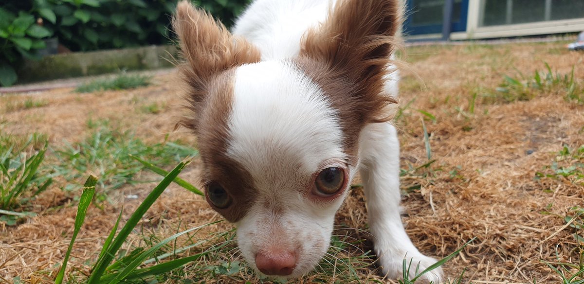 || Guess who is 6 months now!