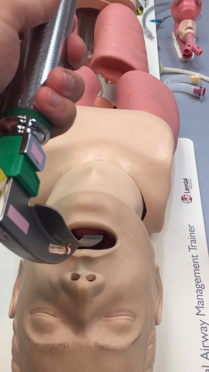 Sahand Ensafi tweet media