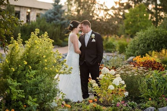 Confetti tweet media