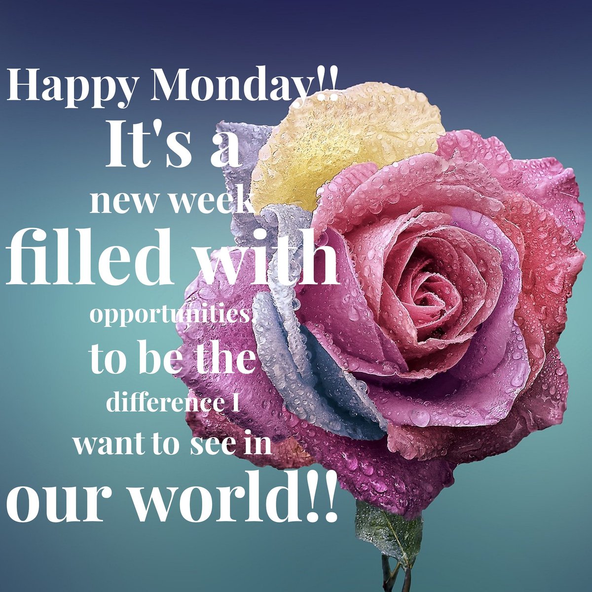TheBestMe_360's tweet photo. #thebestme360 #bethedifference #onerandomactofkindness #bekindonpurpose #showloveonpurpose #choosejoy #forgiveoften #justsmile #bekindathome #showloveathome #charitybeginsathome #ilovemyfamily #ilovebeingawifeandmum #lovingthe360life #thebestofme https://t.co/soDLxYZHUO