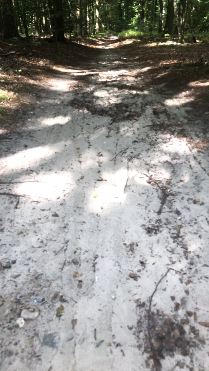 Olli D. aus M. tweet media