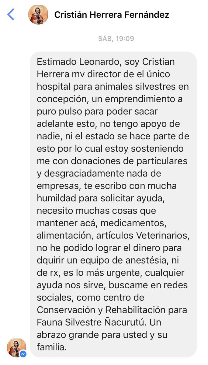leonardofarkas's tweet photo. Felipe Camiroaga amaba estas aves. Hoy este veterinario pide apoyo a todos para seguir luchando, para sanarlas del abuso y la muerte.
Aporto 5 millones a este Hospital de Animales Silvestres de Concepción, síganlo y apóyenlo: 
https://t.co/2x2zsGADnI
Leonardo Farkas #CHILE https://t.co/d7TGxidHda