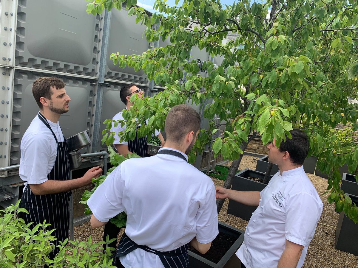 caxtongrill's tweet photo. Enjoy a better and improved Caxton Grill. New interiors, website and a new menu from head chef, Alexander Boyd, inspired by the seasonal ingredients from its rooftop kitchen garden. Check it out: https://t.co/wvvBKPNmjQ #grillrestaurant #kitchengarden https://t.co/svaFfZnreP