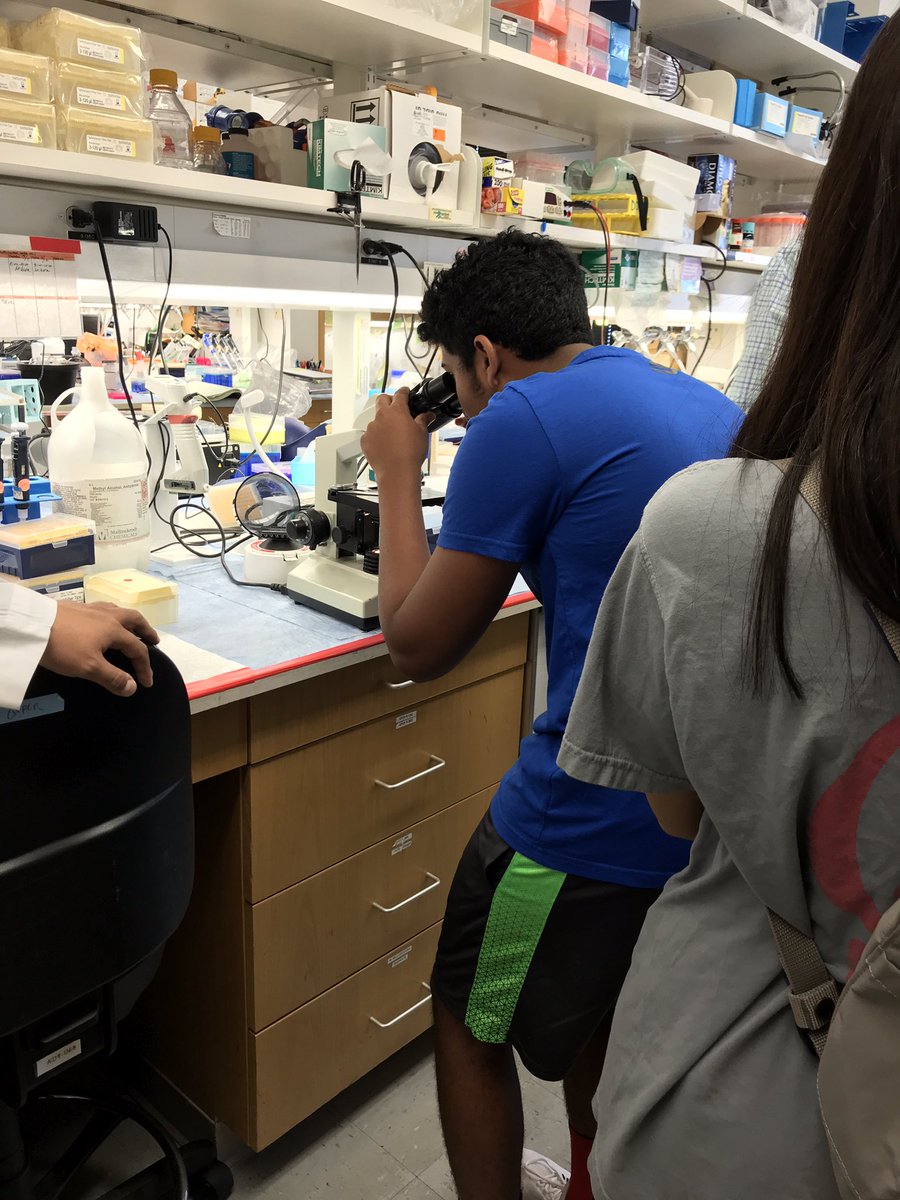 Ms. Roman's Biology tweet media