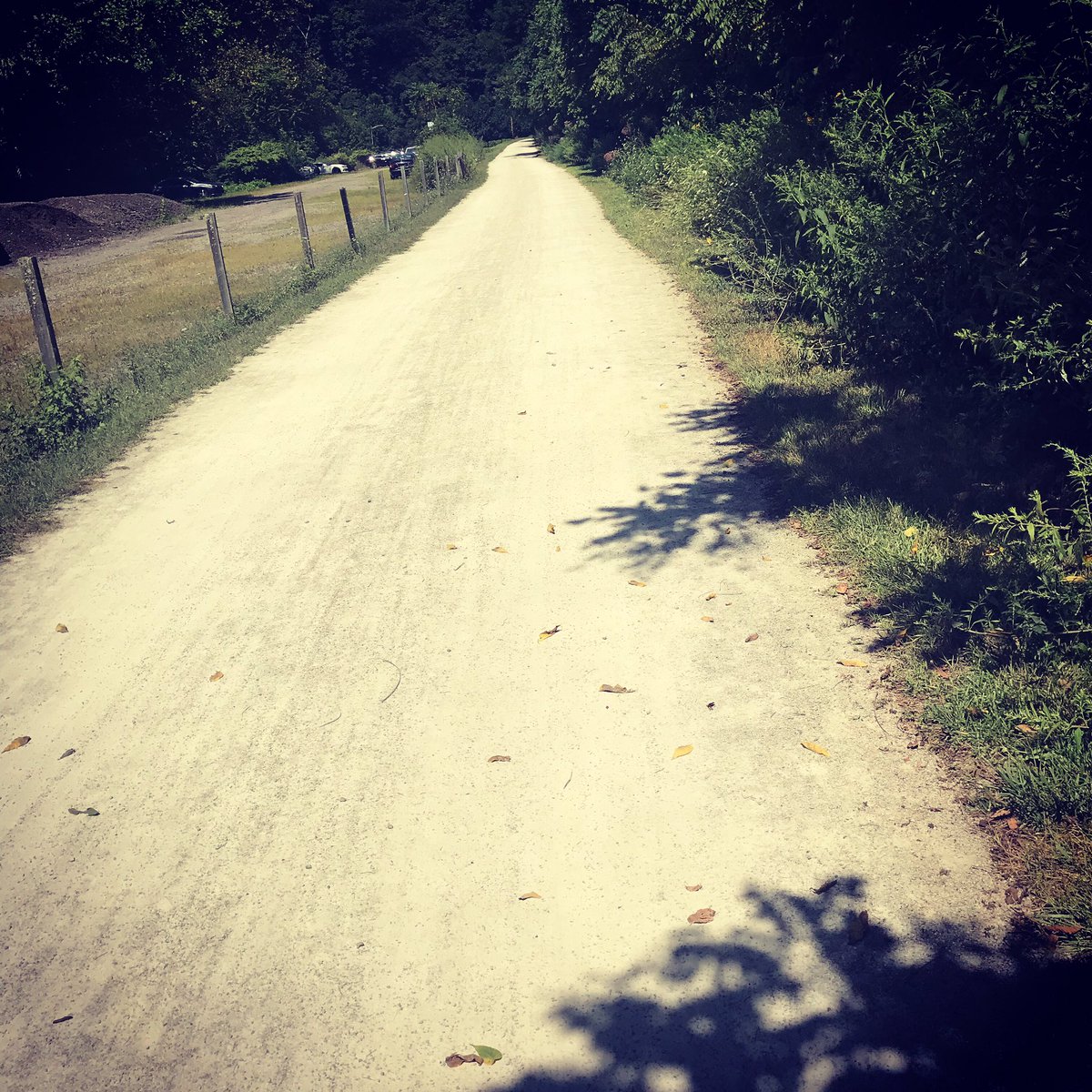StephenRothhaar's tweet photo. Getting some exercise on the Montour trail! πππ
:
:
:
:
#StephenRothhaar #MusicLife
#Popstar #Pittsburgh
#PGHCreative #DetroitLove
#Follow #StudioLife #DoWhatYouLove #Lifestyle #Art #Style #SongWriter
#Love #SomethingNew #artist
#music #singerslife https://t.co/zkrQupJiuj