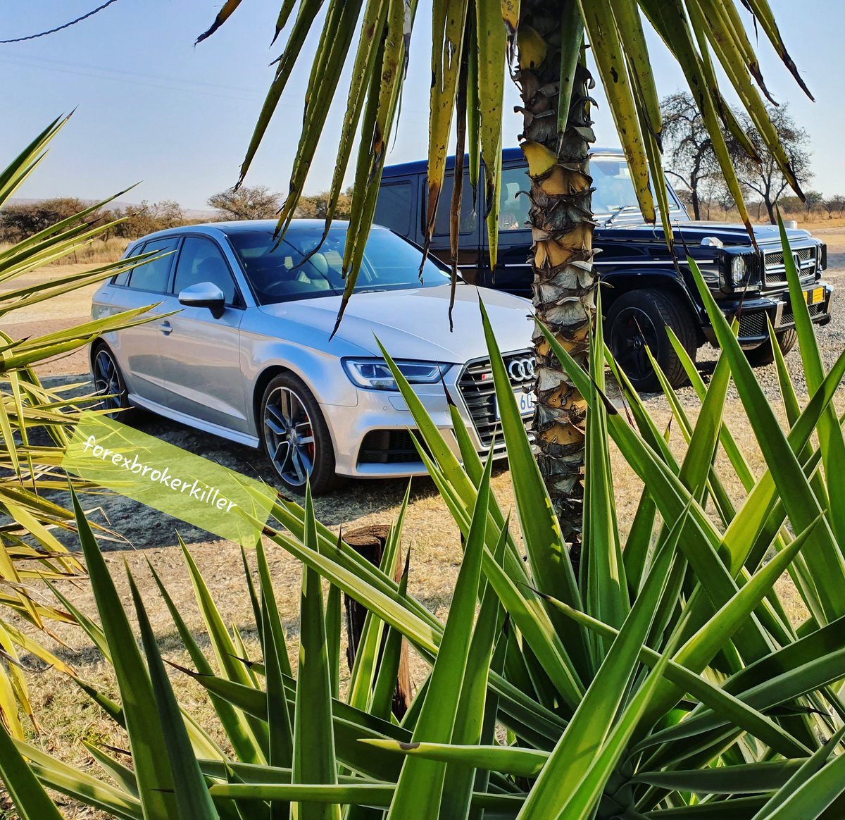 DjCoachrsa's tweet image. When I get to a place, I don't really worry if people like me or not... I worry if I like them or not instead! 🤑 car number 10 (S3) with her older sister Car number 21 (G63 AMG, 463 edition) #BeBetterThanTheirParents