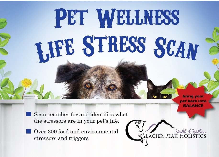 Our PET WELLNESS SCAN can identify over 300 different triggers that could be affecting your dog or cat!! Get yours today and take the guess work out of your pet's health! - glacierpeakholistics.com ❤️🐾  #dogsarefamily #catlife  #MondayMood #animalhealth #pets