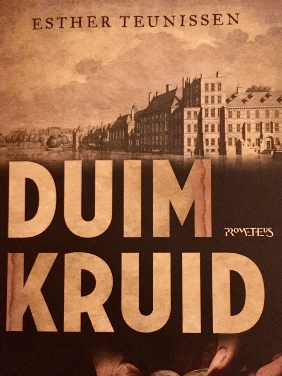 Heerlijke historische thriller van collega (bureau regioburgemeesters) Esther Teunissen over Den Haag rond 1525. In een weekend uitgelezen....