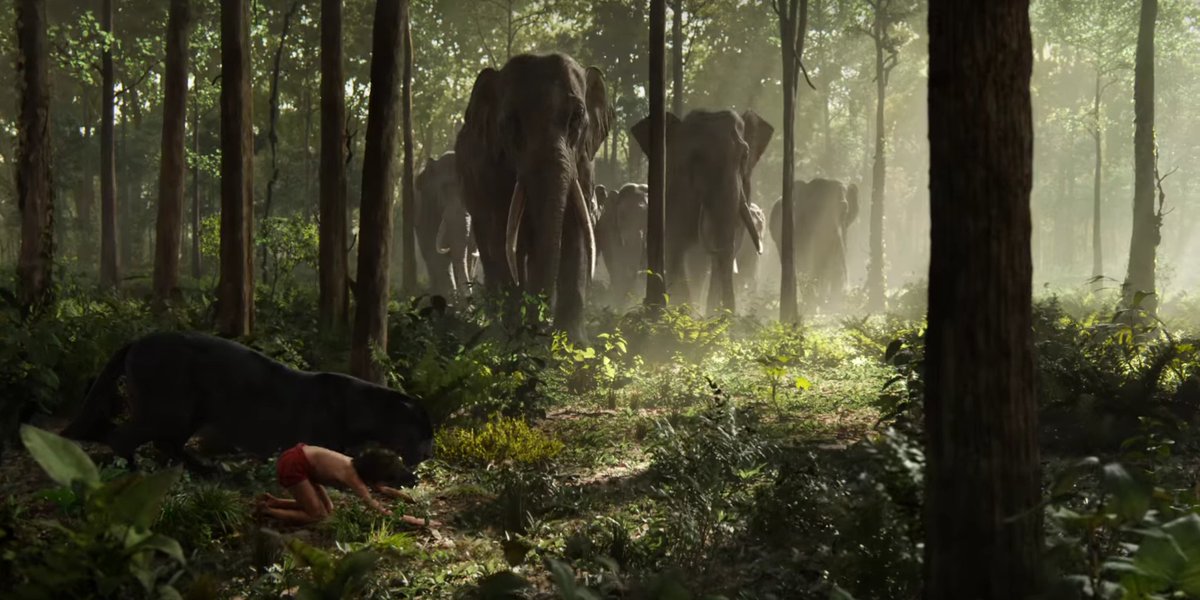 zmlegna's tweet photo. "Muéstrales respeto, los elefantes crearon esta selva, donde formaron surcos con sus colmillos corrieron los ríos, donde soplaron con sus trompas cayeron las hojas; Concibieron lo que pertenece, las montañas, los árboles, las aves en ellos..."
#WorldElephantDay 🐘 https://t.co/ypBxZPBdMO