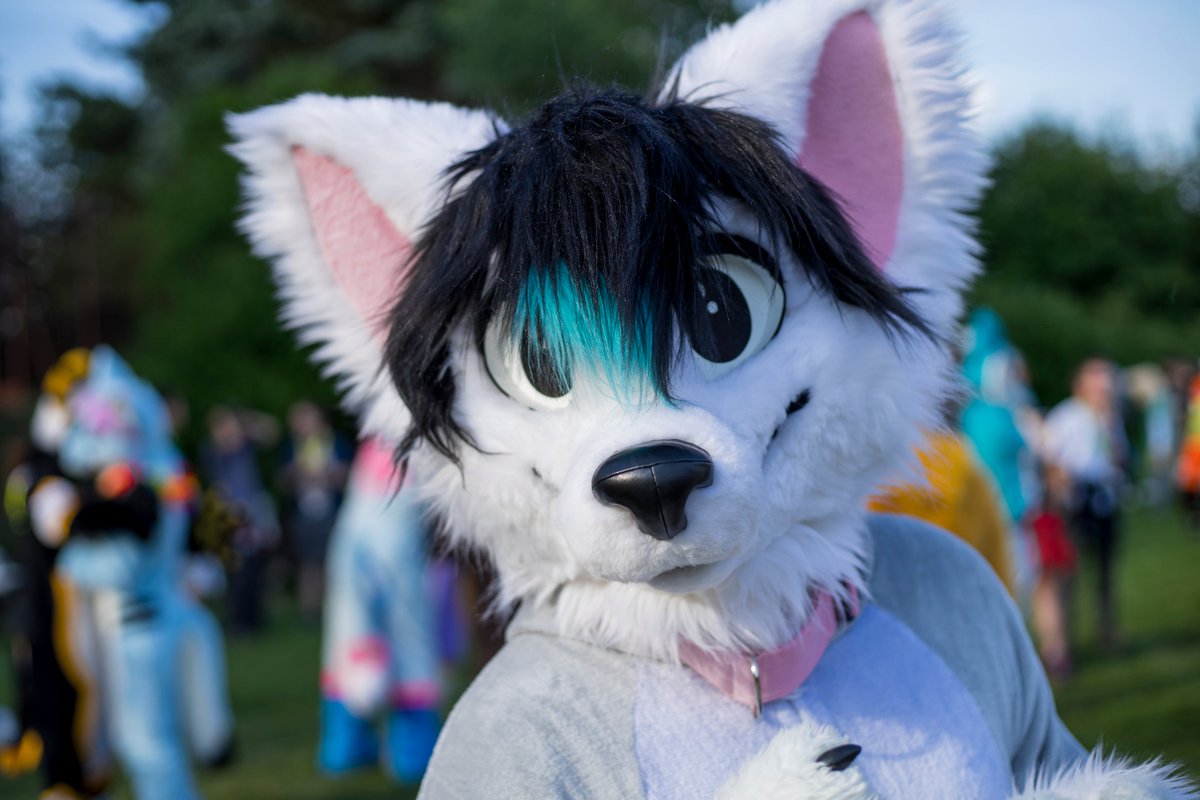 Deri_Fox's tweet photo. @ZelusCelsitudo from #CesFur https://t.co/6HEfCHxvpN