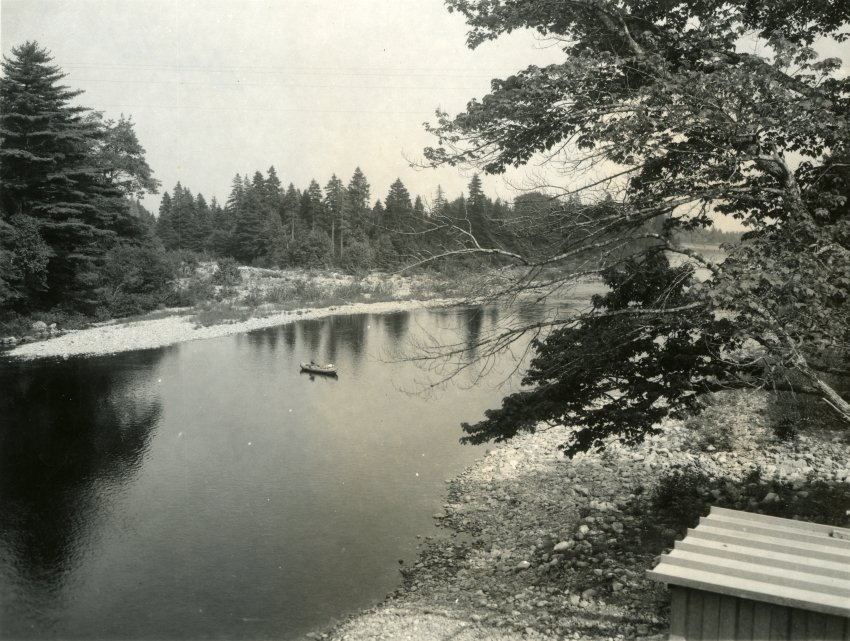 beatoninstitute's tweet photo. Today on the #BeatonSummerTour, our #photograph features #BlackBrook. On the northern side of #StAndrewsChannel, it faces the northern end of #LongIsland. In the late 1800s, it was known as Big Bank.

Black Brook, no date. 97-191-28029. https://t.co/4GtYCKwdE1