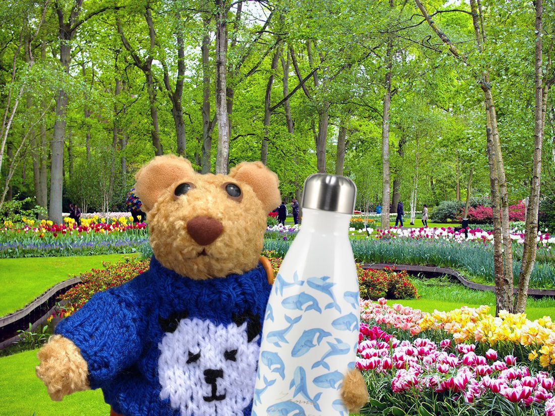 🐻 Howie Steiff 🐻 tweet media