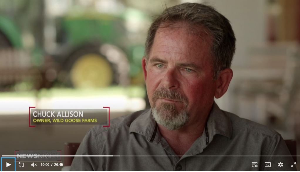 Like most growers, FFVA Board Member Chuck Allison of Wild Goose Farms wants the gov't to streamline the visa process for foreign ag workers, and for retailers to prioritize local produce. He's also exploring mechanized harvesting as a way to cut costs. video.wucftv.org/video/challeng…