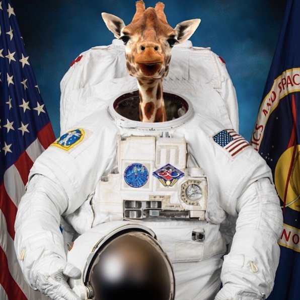 YesNoMaybeLtd's tweet photo. Mission control, requesting you follow my awesome artsy account @benfarleighart https://t.co/TR0c2DHeoB
