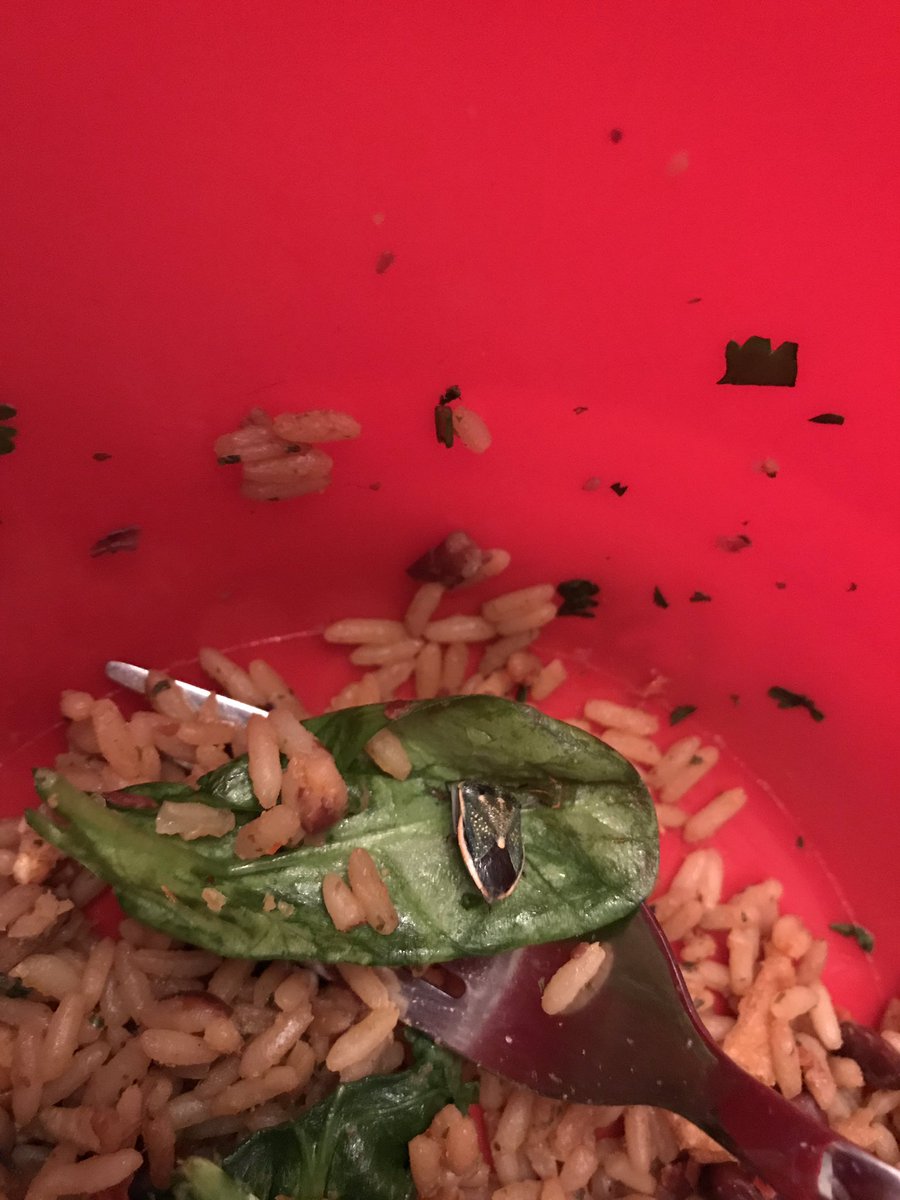 PrestonRBurks's tweet photo. @Walmart I just found a bug in the spinach I bought from you... this is disgusting https://t.co/106qqLdGqJ