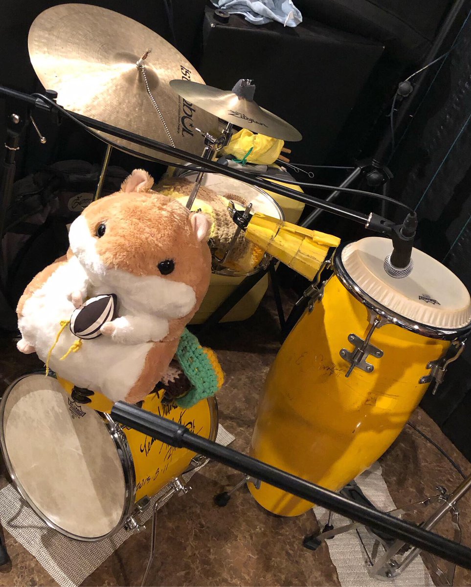 espresso_days's tweet photo. マイセット🐹❤️
ハム太郎??(笑)
#mydrums #conga #pearldrums #pearlcongas #percussion #drums #drumset #yellow #cowbell #live #tambourine #istanbulcymbals #cymbals #mydrumset #ライブ #コンガ #リズムトラベラー #rhythmtraveler #タンバリン https://t.co/u48WDLMMin