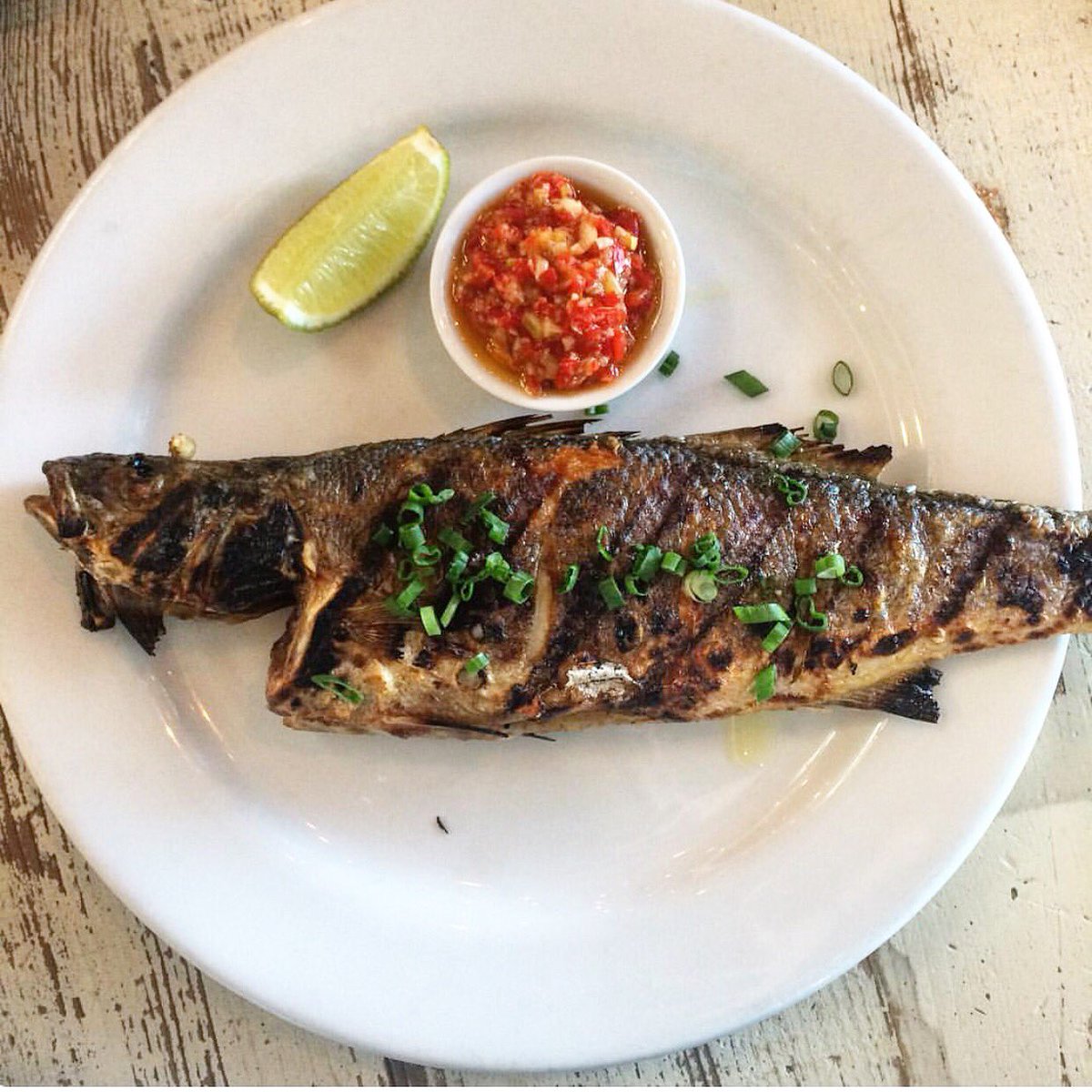 FeastitForward's tweet photo. What’s on your plate tonight? #monday #mondaynight #mondays #mondaymotivation #FEAST #itswhatsfordinner #dinner #nom #nomnom #dinnerplans #yummy #plate #FEASTfamilystyle #doubleentandre #fish #fishdinner #fishy #herefishyfishy #herfishyfishy #seafood #cooking #dinnertime https://t.co/xqnFN6JBJh