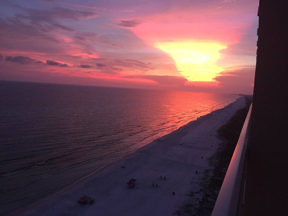 Panama City Beach tweet media