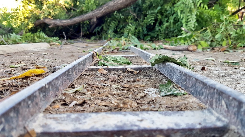 campajr's tweet photo. Desolació entre els veïns per els més de 100 arbres caiguts aquesta matinada a Vilanova i la Geltrú a causa de la forta tempesta. El parc de Ribes Roges un dels més afectats. https://t.co/KJWNQcGjFz
