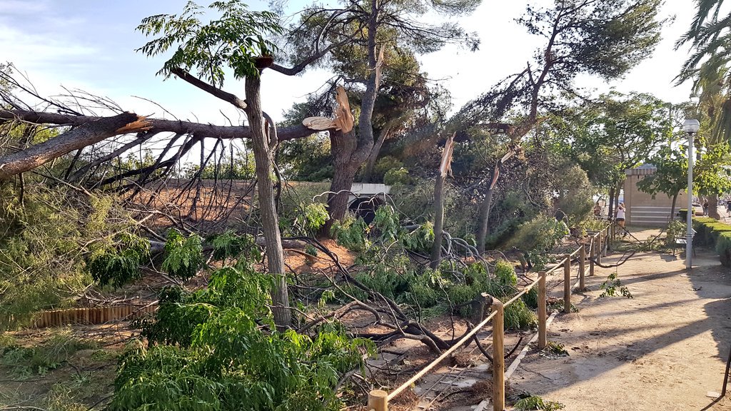 campajr's tweet photo. Desolació entre els veïns per els més de 100 arbres caiguts aquesta matinada a Vilanova i la Geltrú a causa de la forta tempesta. El parc de Ribes Roges un dels més afectats. https://t.co/KJWNQcGjFz