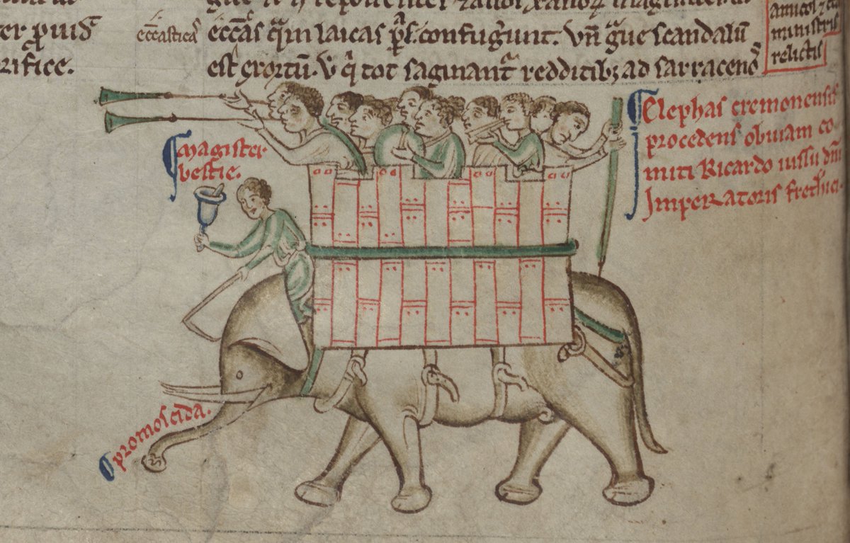 ParkerLibCCCC's tweet photo. 🐘 Happy #WorldElephantDay2019 from the pride of the Parker Pachyderms!
(happy herd from #marvelousmss #CCCC16i, #CCCC16ii, #CCCC22 & #CCCC53)
#MedievalTwitter #Parker #CorpusChristi #Cambridge #Elephants #Bestiary #Chronicle #MatthewParis https://t.co/QgTU1Kvnvg