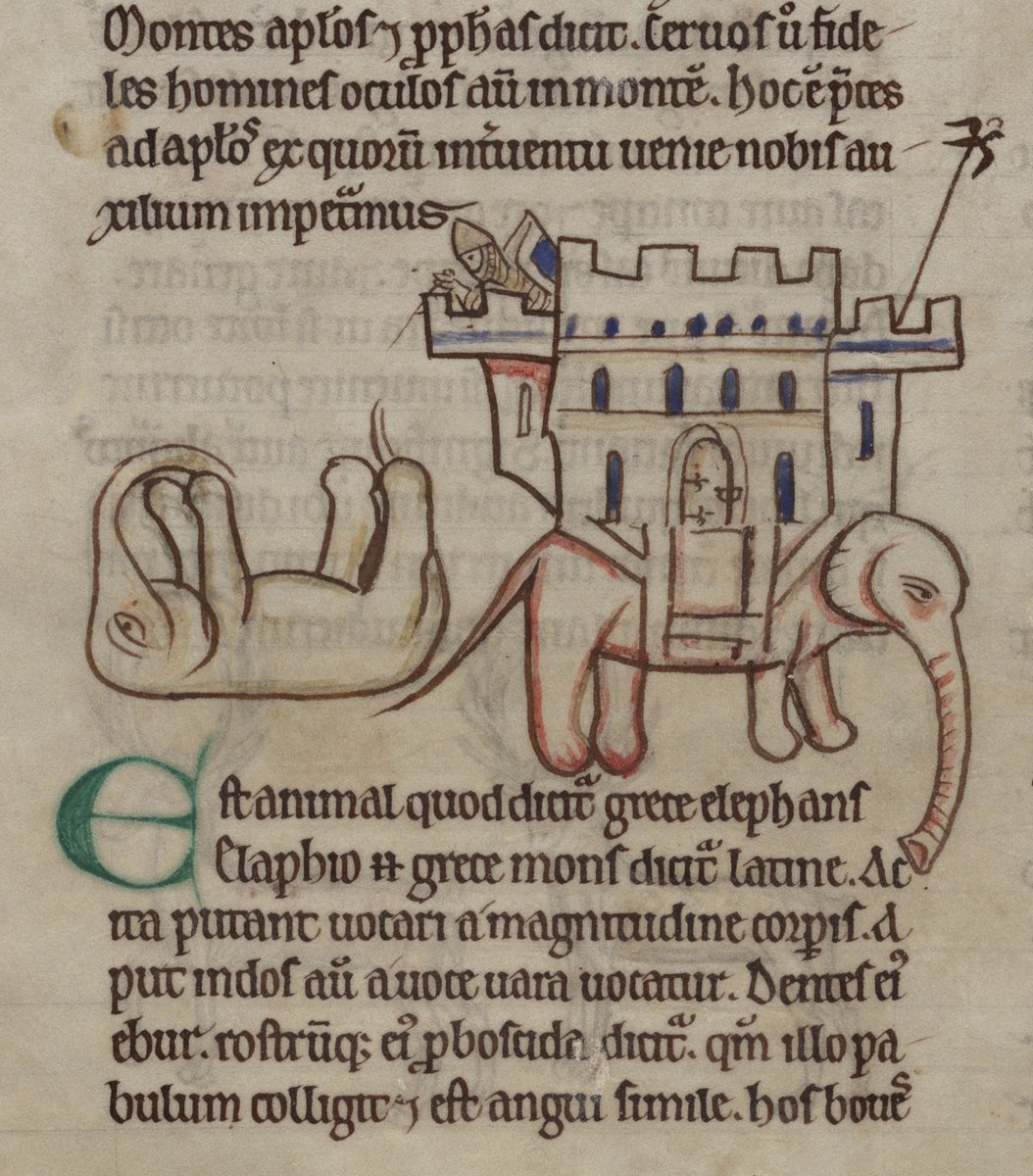 ParkerLibCCCC's tweet photo. 🐘 Happy #WorldElephantDay2019 from the pride of the Parker Pachyderms!
(happy herd from #marvelousmss #CCCC16i, #CCCC16ii, #CCCC22 & #CCCC53)
#MedievalTwitter #Parker #CorpusChristi #Cambridge #Elephants #Bestiary #Chronicle #MatthewParis https://t.co/QgTU1Kvnvg