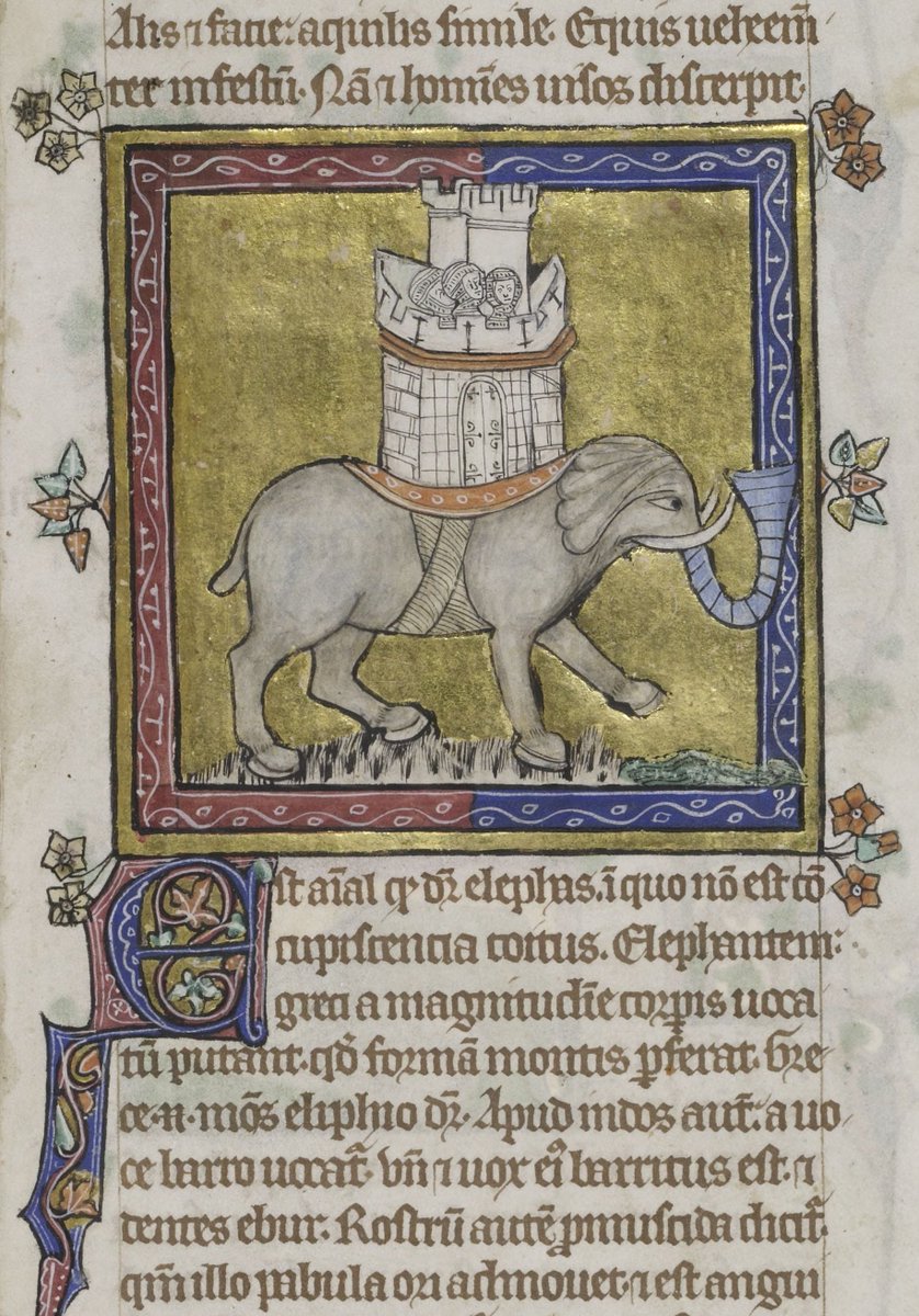ParkerLibCCCC's tweet photo. 🐘 Happy #WorldElephantDay2019 from the pride of the Parker Pachyderms!
(happy herd from #marvelousmss #CCCC16i, #CCCC16ii, #CCCC22 & #CCCC53)
#MedievalTwitter #Parker #CorpusChristi #Cambridge #Elephants #Bestiary #Chronicle #MatthewParis https://t.co/QgTU1Kvnvg