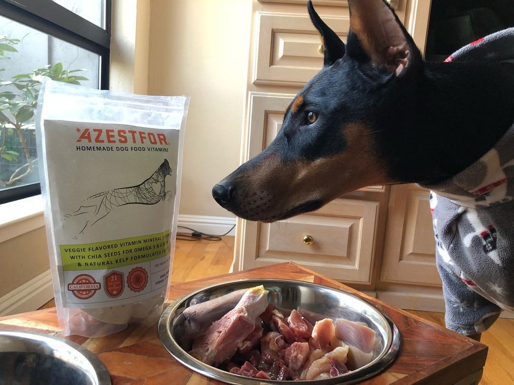 azestfor dog vitamins