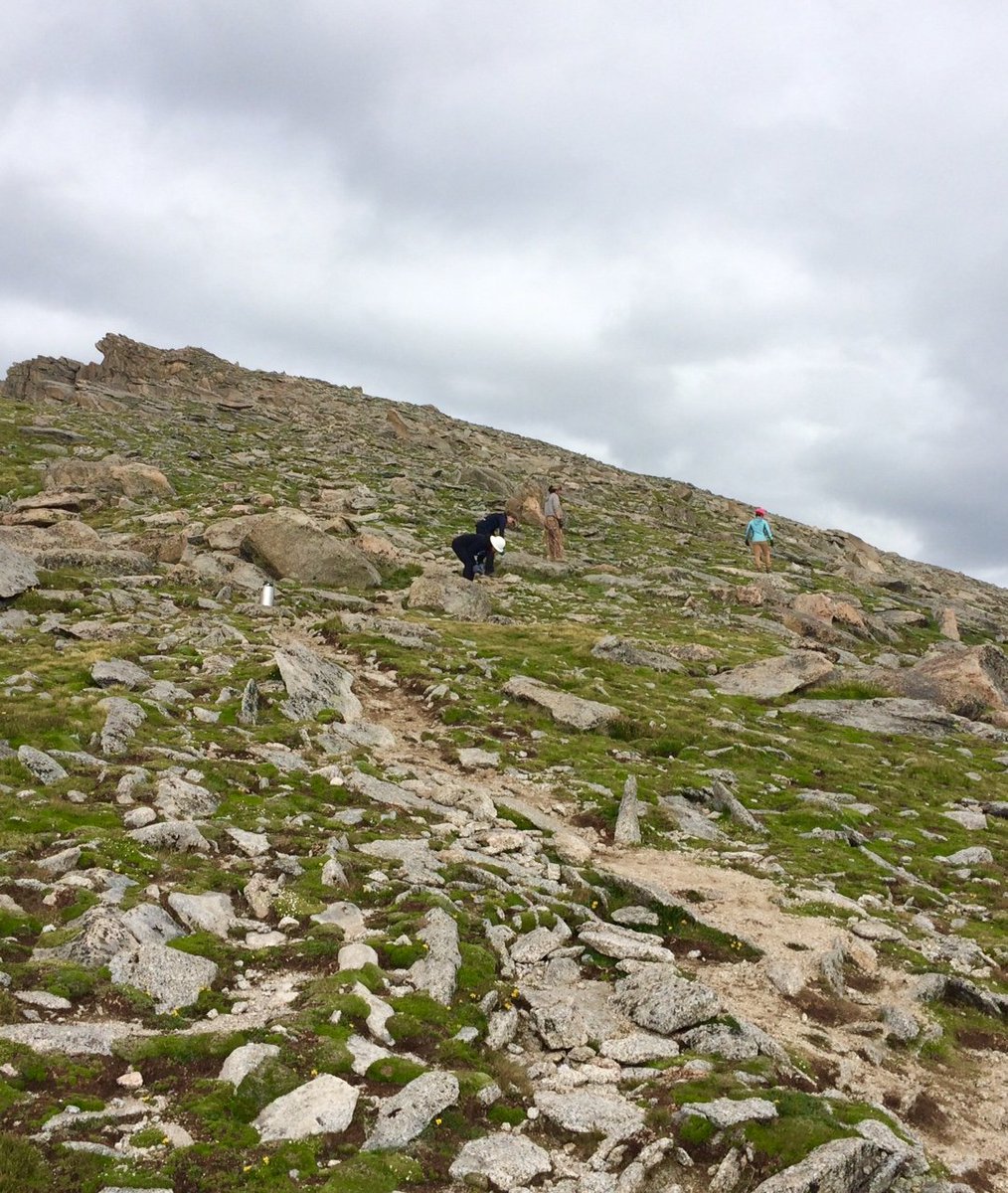 businessolver's tweet photo. We had a beautiful day of volunteering above the clouds! We got to work with @colorado14ersinitiative to help restore the trailhead on Mt. Evans to protect and maintain the natural integrity of these beautiful peaks. 🏔🏔🏔 #optoutside #giveback #solversoul https://t.co/6NFX1WWThJ