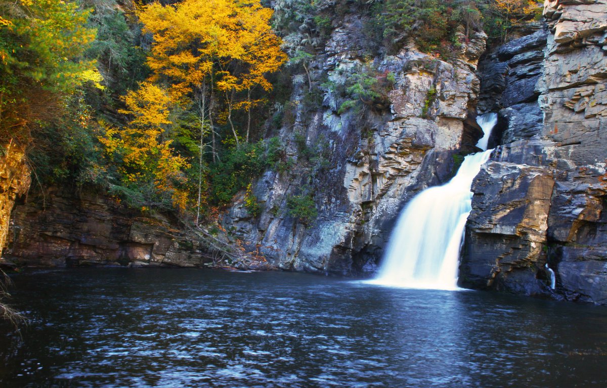 LinvilleFalls's tweet photo. In this part of the Blue Ridge National Heritage area, all generations of residents and guests will find something interesting to do. Hiking, climbing, rappelling, studying plants, birds and wildlife, and shopping. What's your favorite?

#WesternNC #NorthCarolina #LinvilleFalls https://t.co/cIjzgdR1uD