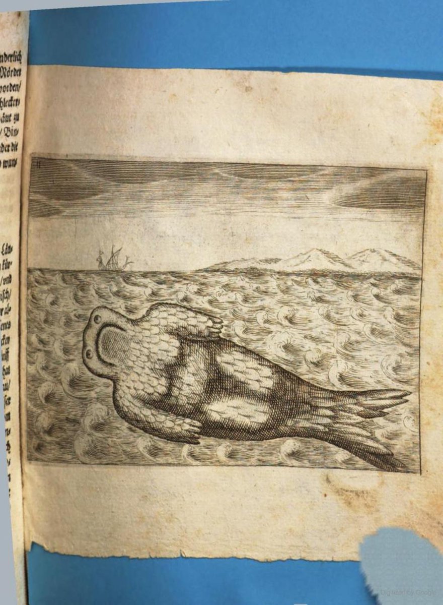 KevinaTidwell's tweet photo. Some merbeasts from the 1694 travelogue, Historische Beschreibung Der In dem untern Occidentalischen Mohrenland [...] Congo, Matamba, und Angola
https://t.co/ZtGgMMEsFn
#documentaryresearch #archivalproducer https://t.co/PMeKvtb7Uz