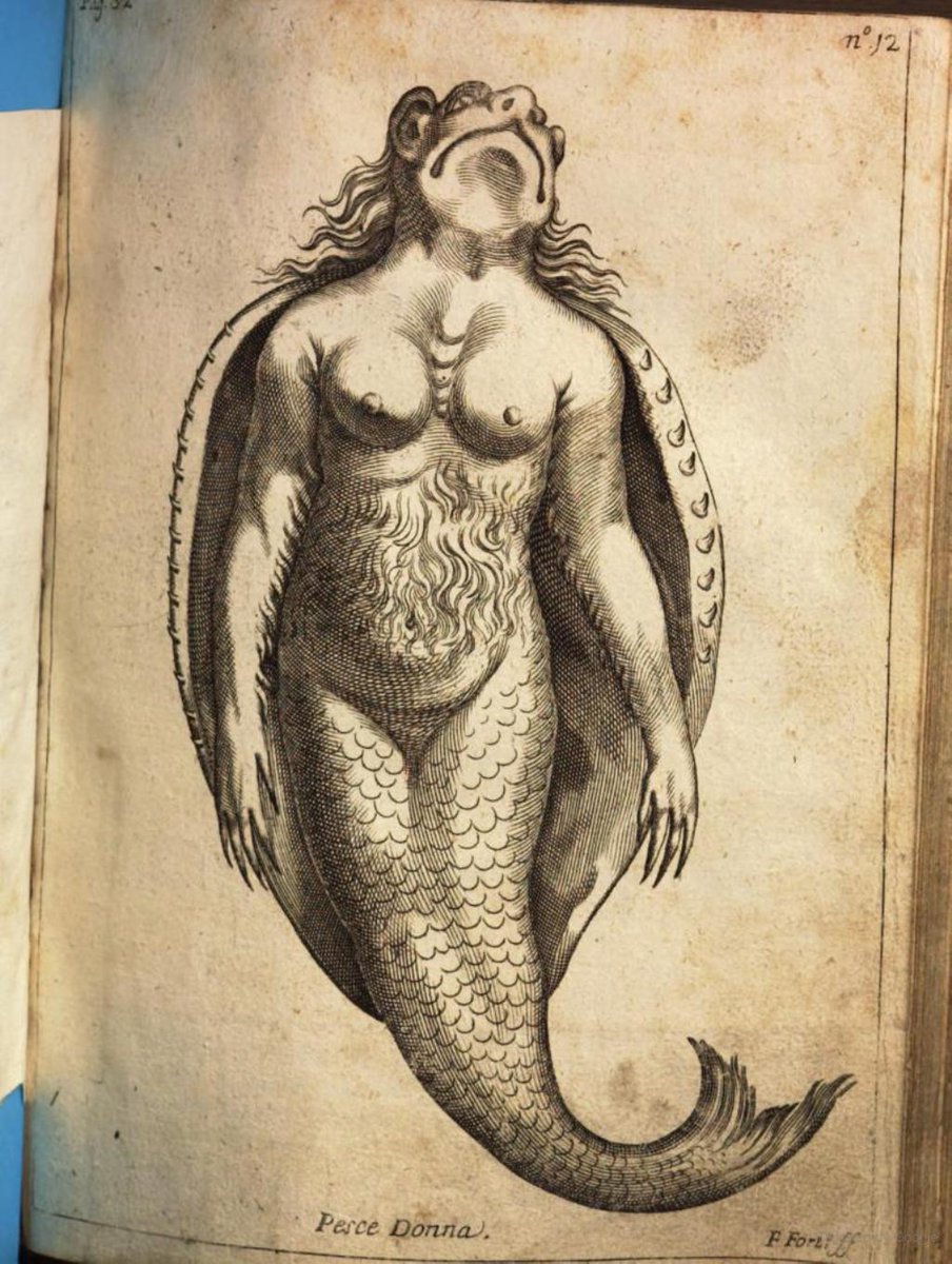 KevinaTidwell's tweet photo. Some merbeasts from the 1694 travelogue, Historische Beschreibung Der In dem untern Occidentalischen Mohrenland [...] Congo, Matamba, und Angola
https://t.co/ZtGgMMEsFn
#documentaryresearch #archivalproducer https://t.co/PMeKvtb7Uz