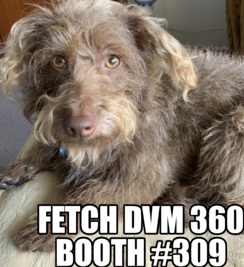 prunderground's tweet image. GerVetUSA will be #exhibiting at #FETCHDVM360 At The #KansasCity #ConventionCenter prunderground.com/?p=163239 @GerVetUSA