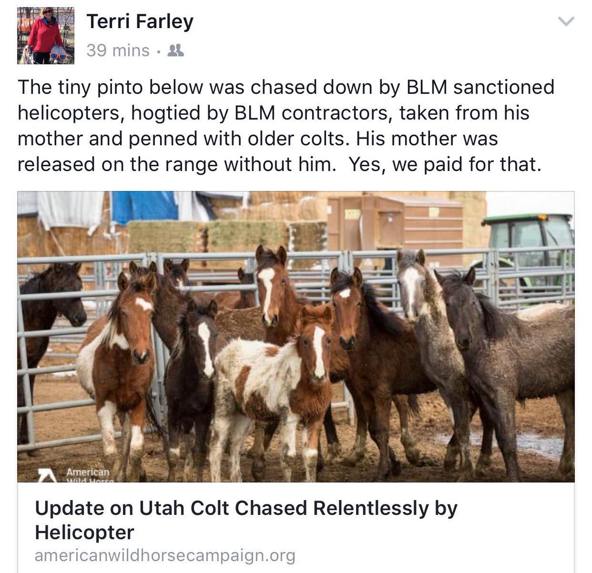 CeciliaCmaida's tweet photo. @EkbMary @BLMWHB @senjudiciary @JudiciaryDems @SenKamalaHarris @CoryBooker @amyklobuchar @SenWarren @MSNBC @MPRnews @WCCO @StarTribune I called my Senators Feinstein &amp; Harris &amp; Rep Tom McClintock today demanding NO PATH FORWARD &amp; wild horses remain on their lands &amp; CEASE &amp; DESIST of round ups! RT HASHTAG!
#CALLREPSFORWILDHORSES 
#SaveWildHorses 
#NoPathForward https://t.co/ieCJKy33QH
