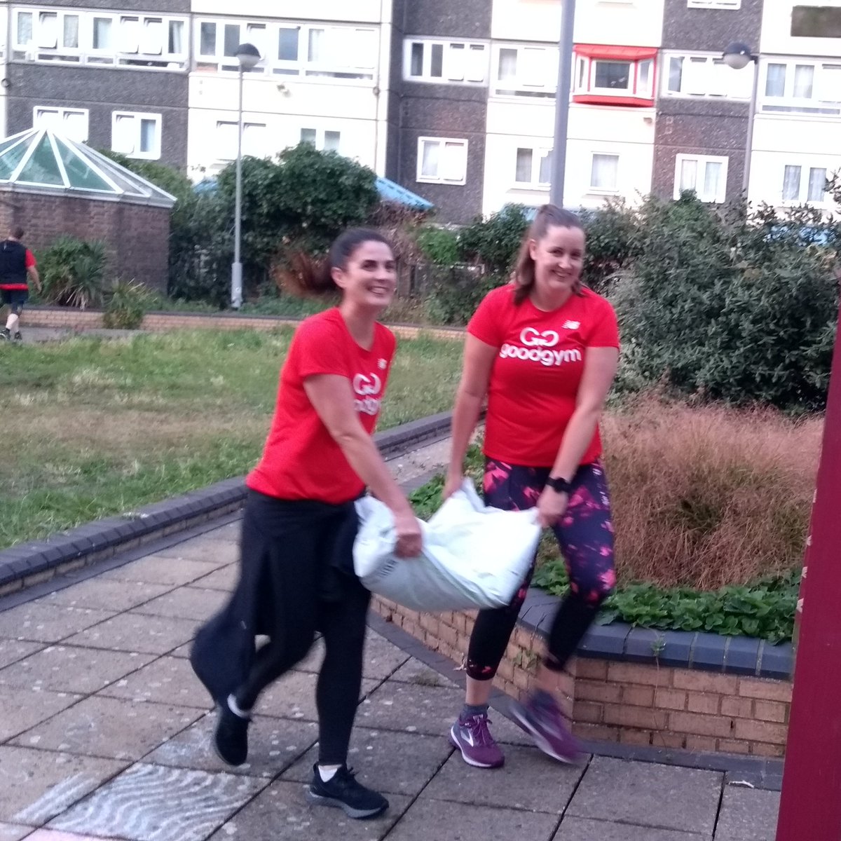 BaterseaGardens's tweet photo. A few more pics from this evening - a superb effort! Thank you @GGWandsworth...and a well deserved little rest under the watchful eye of the #snail on the wheelbarrow! #Battersea #Community #compostchallenge https://t.co/0GPAHsjHlB