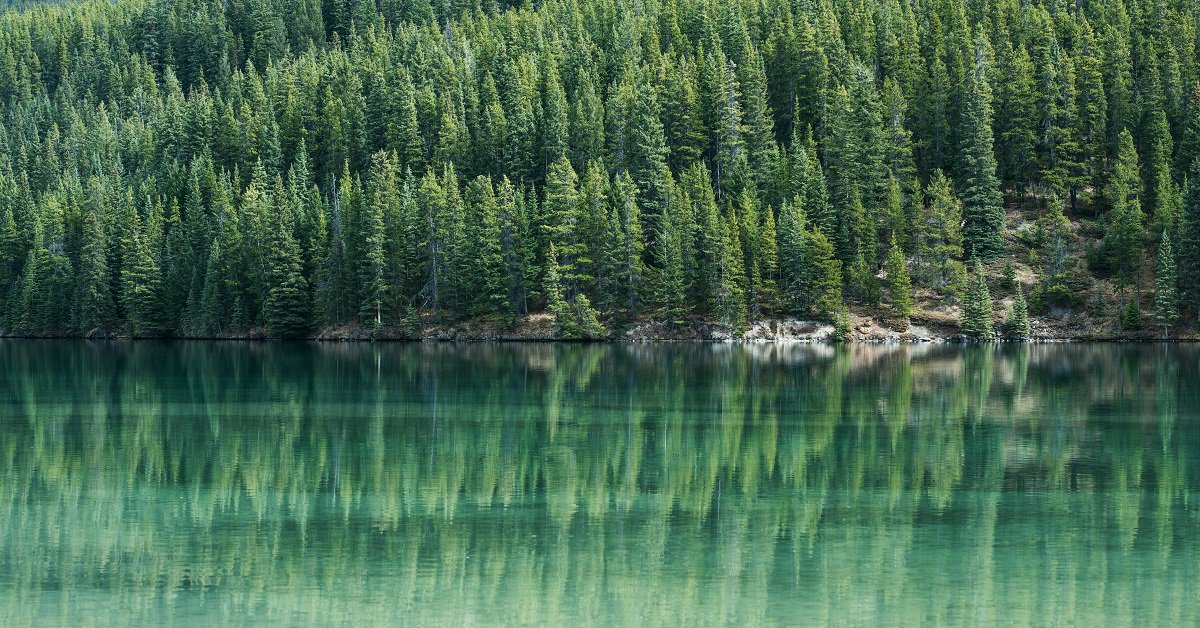 Osler_Law's tweet photo. Le gouvernement du Canada modifie les processus d’évaluation environnementale https://t.co/RVYJAulA6r
#evaluationdimpact #projetdeloi69 https://t.co/4UN91cja5o