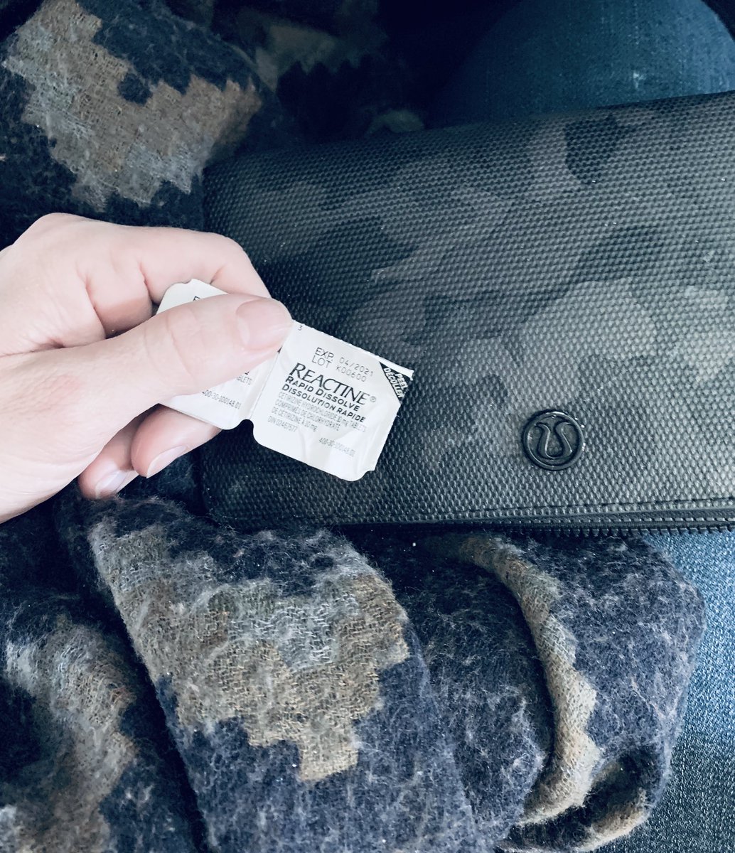 k8shaughnessy's tweet photo. There is a cat sitting under the seat next to me on my flight. In other news, I’m very allergic to cats. I’m sure he is the nicest and most well behaved cat ever. ✈️ 🐱 #reactin #cats #planes #allergies #travel #catonaplane #airborne https://t.co/qogTK12Cqc