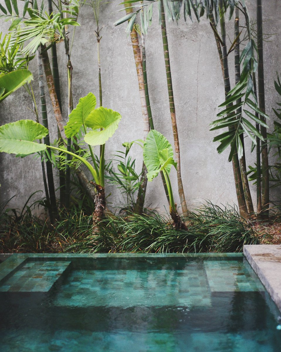urbanwood_stone's tweet photo. Concrete jungle paradise. Waterproof faux panels.
https://t.co/hQa1gU8LId
#concrete #wall #covering #simplediy #renovation #diy #remodel #decor #housedecor #decorations #homegoals #upgrade #homeimprovement #homedecoration #homestyling #remodeling #redecorating #improvement https://t.co/PElzDMZZVG