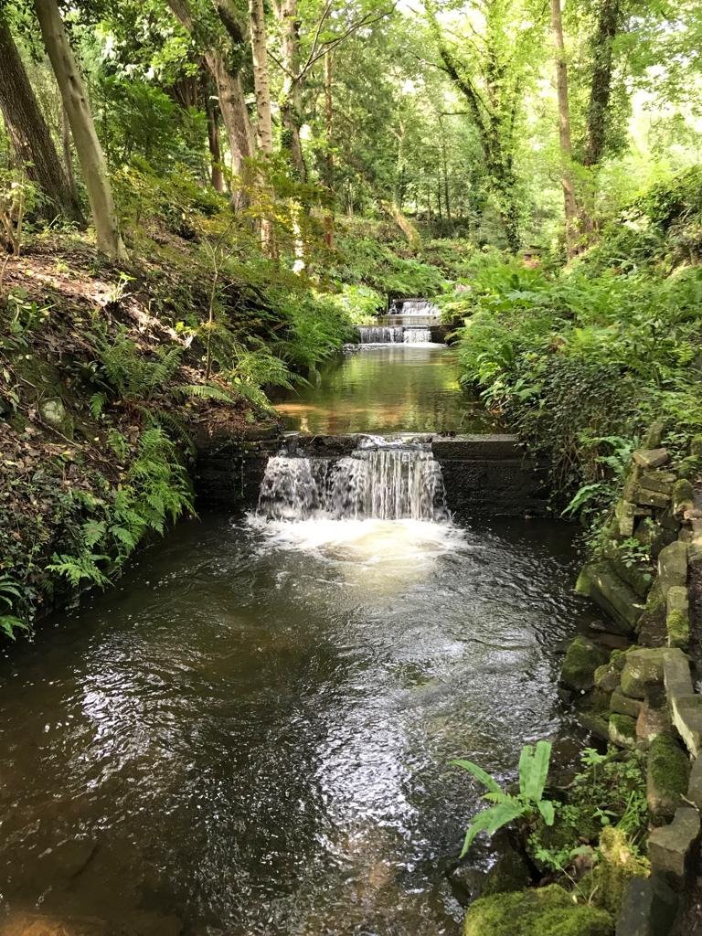 2020Honley's tweet photo. Walk carefully down the 200 year old flight of stone steps to, not one, not two but three, yes three waterfalls in Audreyโs garden which will be part of Honley Open Gardens, June 2020
#waterfalls #honley #stonesteps #HOG2020 https://t.co/QnVthVg3Dp